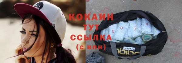 индика Лиски