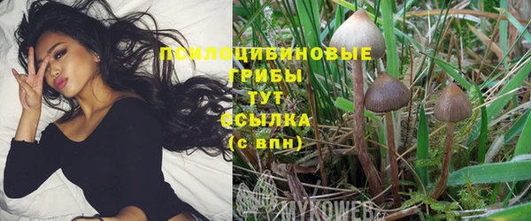 спайс Лихославль