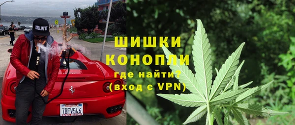 индика Лиски