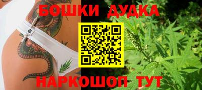 шишки Балашиха