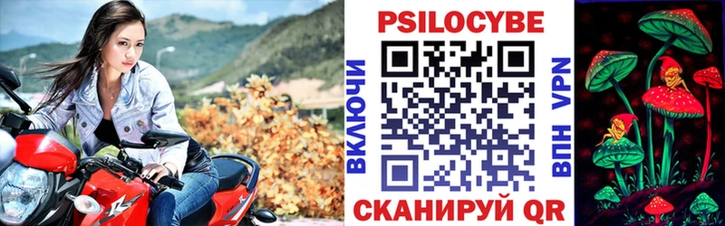 omg как войти  цена   Тында  Галлюциногенные грибы GOLDEN TEACHER 