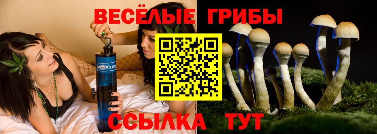 Псилоцибиновые грибы мицелий Тында