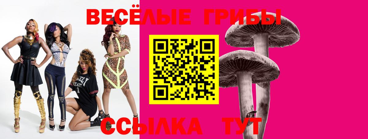 цены   Псилоцибиновые грибы ЛСД  Вход с VPN  Тында  Галлюциногенные грибы ЛСД 