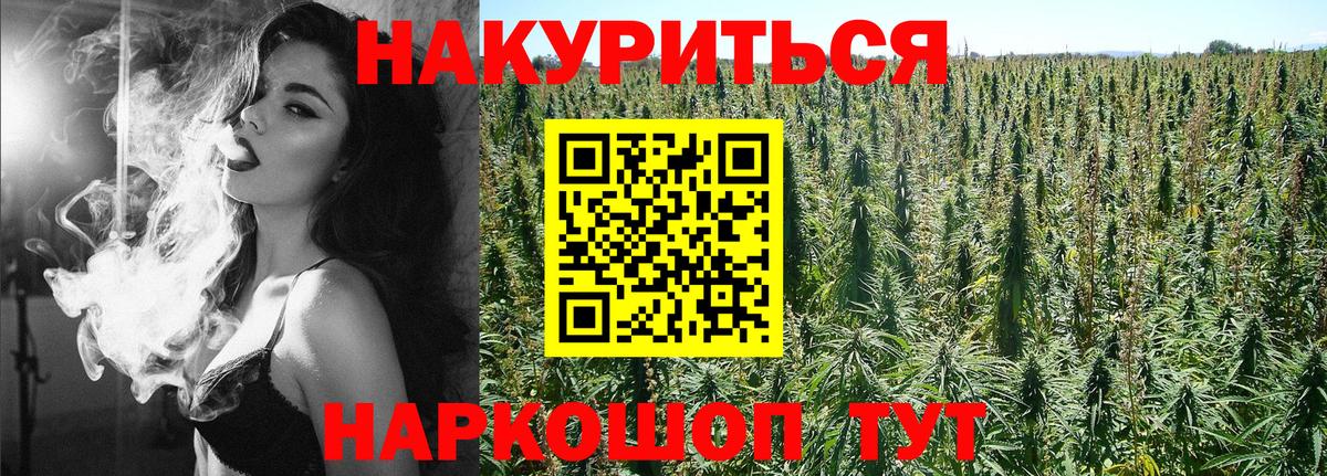 Конопля гибрид Тында